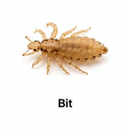 Bit